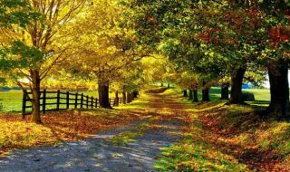 宽屏桌面壁纸高清 宽屏桌面壁纸高清